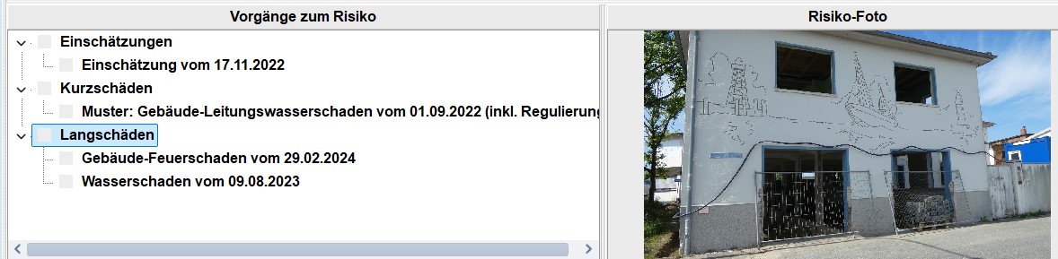 Screenshot im Risiken-Modul des VGI-Expert