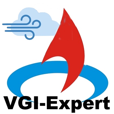 VGI-Expert Logo