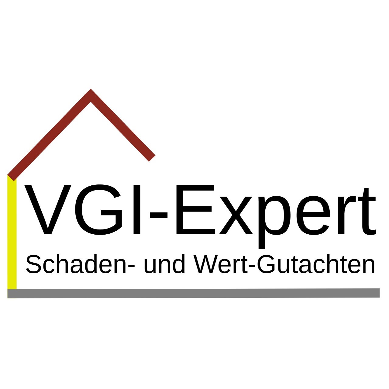 VGI-Expert Logo